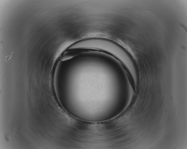 X0000096391277200801311313