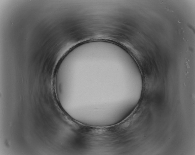 X0000096391278200801311313