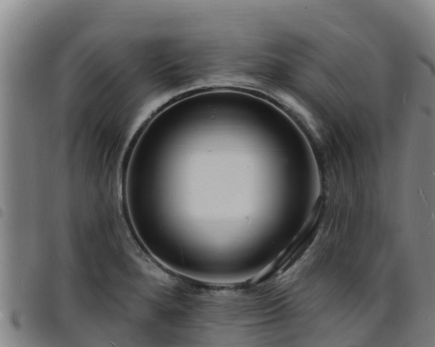 X0000096391280200801311313