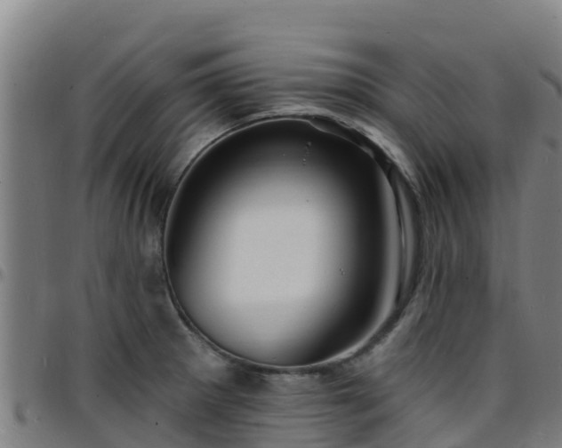 X0000096391281200801311313