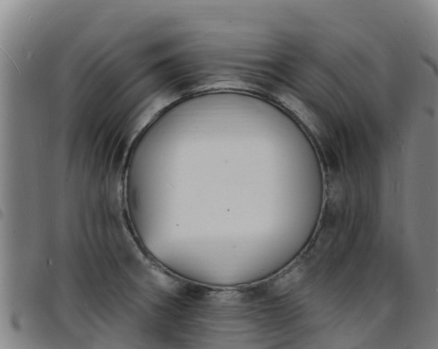 X0000096391282200801311313