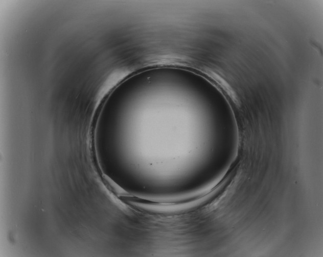 X0000096391285200801311313