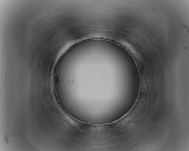X0000096391286200801311313