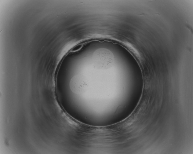 X0000096391287200801311313