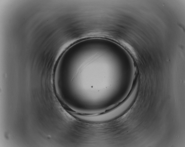 X0000096391288200801311313