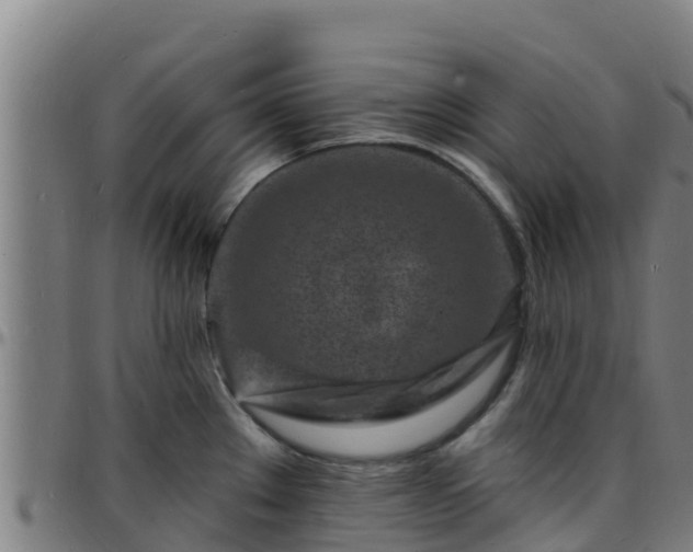 X0000096391289200801311313
