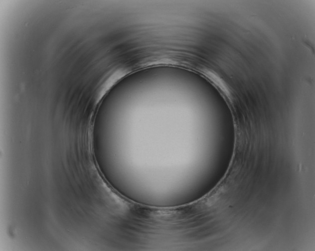 X0000096391290200801311313