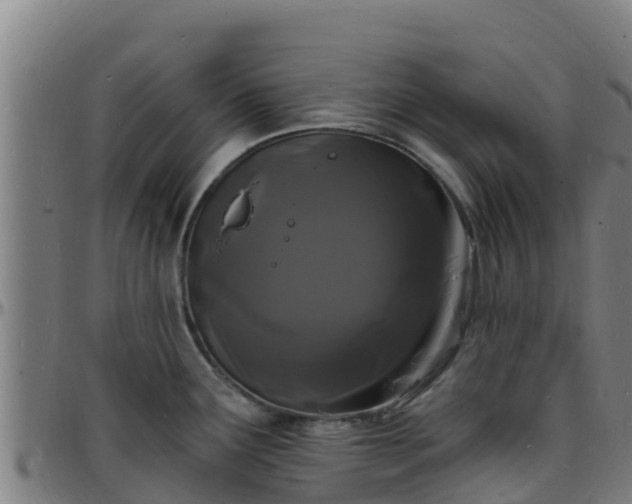 X0000096391291200801311313
