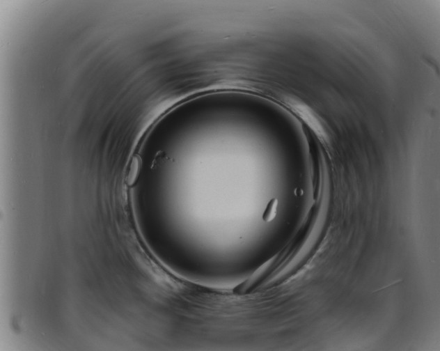 X0000096391292200801311313