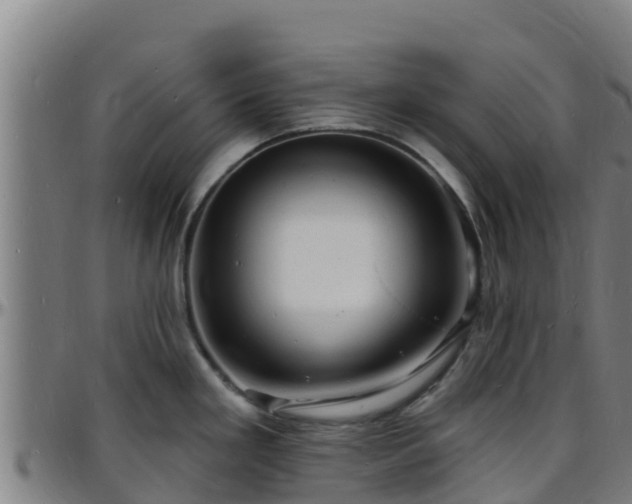X0000096391293200801311313