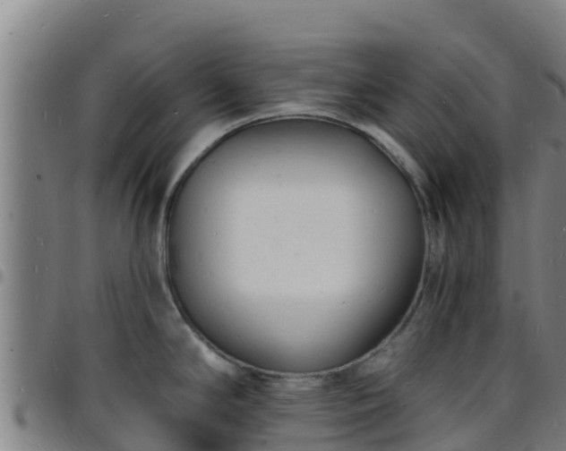 X0000096391294200801311313