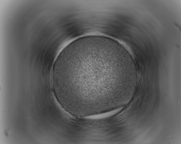 X0000096391295200801311313