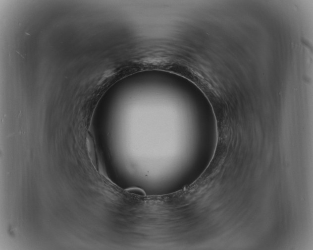 X0000096391297200801311312