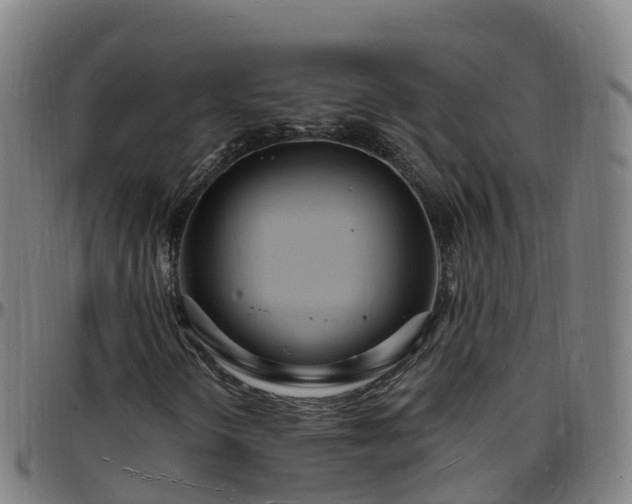 X0000096391298200801311312