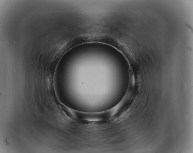 X0000096391300200801311312