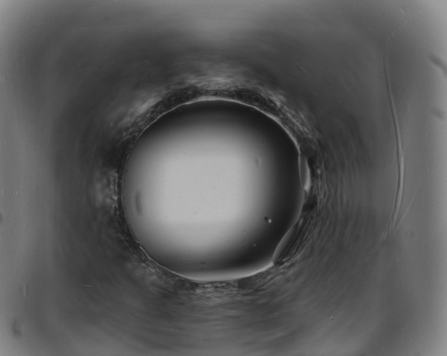 X0000096391301200801311312