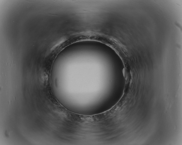 X0000096391302200801311312