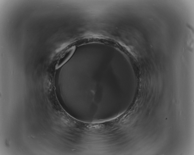 X0000096391303200801311312