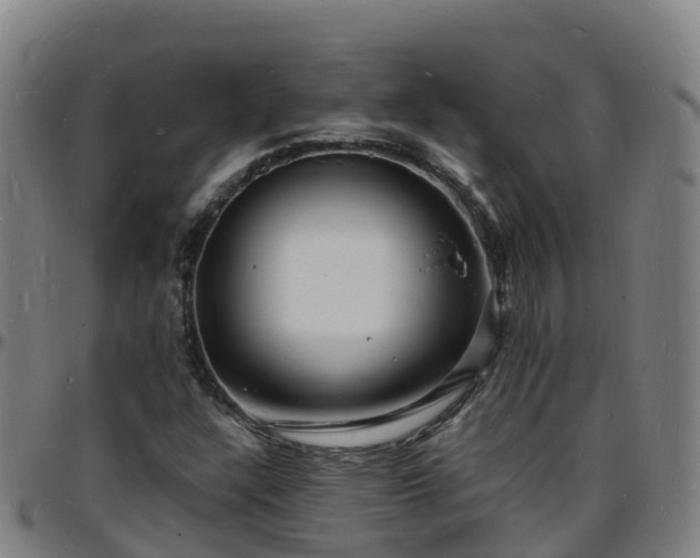 X0000096391304200801311312