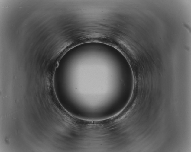 X0000096391305200801311312