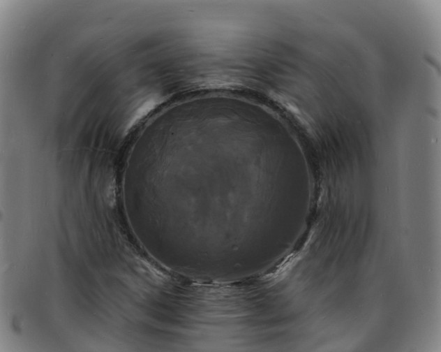 X0000096391306200801311312