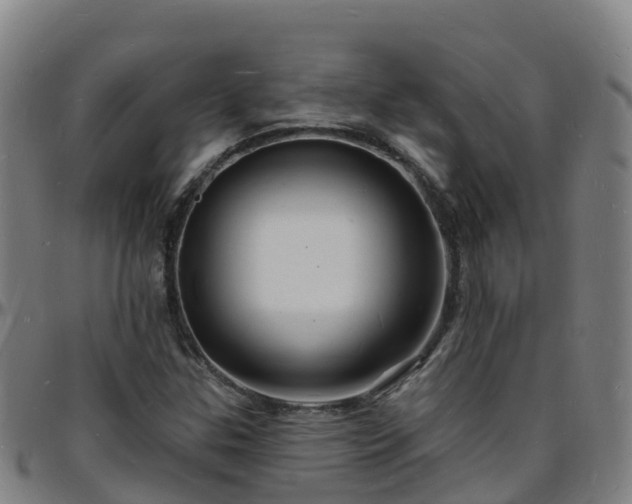 X0000096391307200801311312