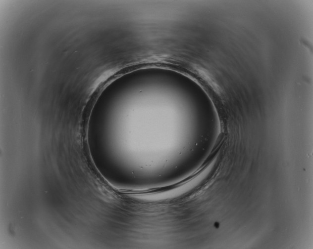 X0000096391308200801311312