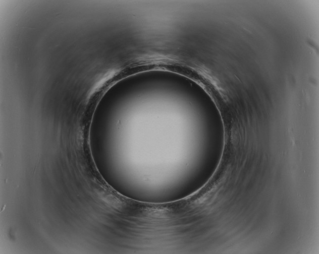 X0000096391309200801311312