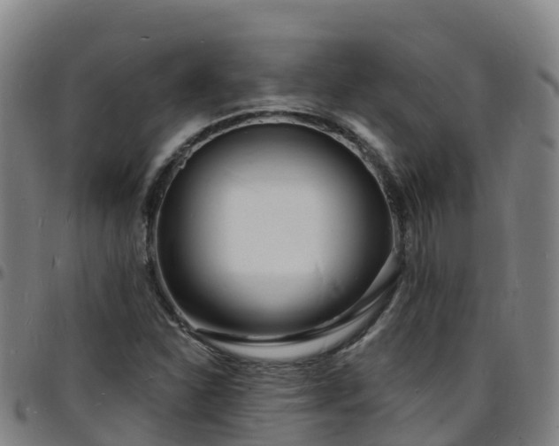 X0000096391310200801311312