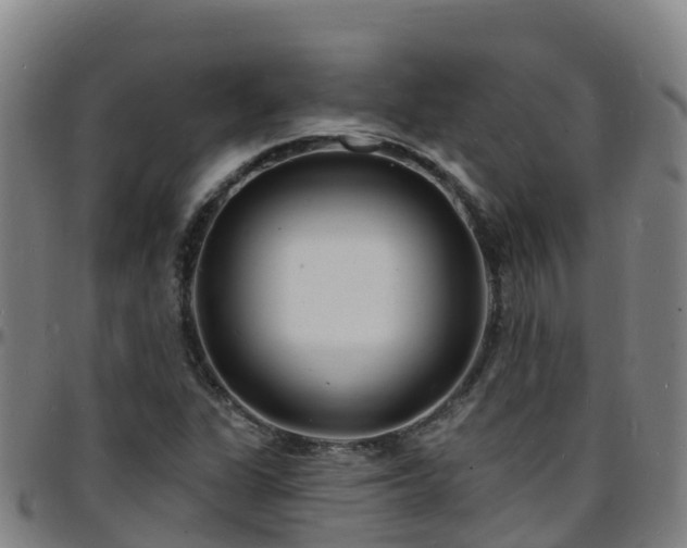 X0000096391311200801311312