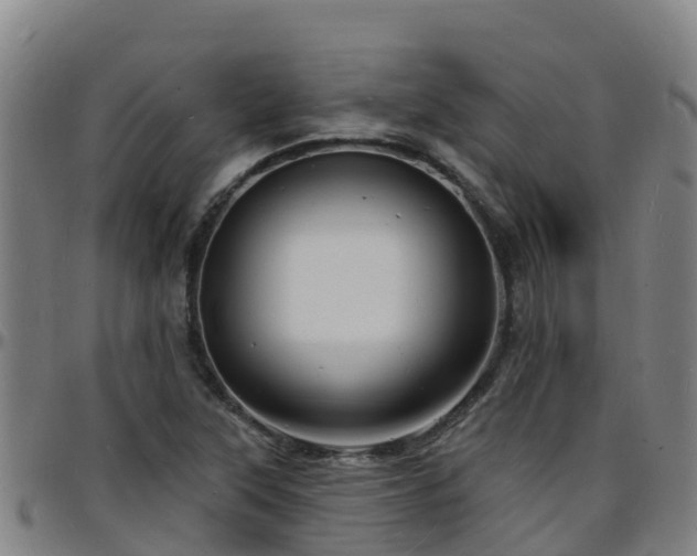 X0000096391315200801311312