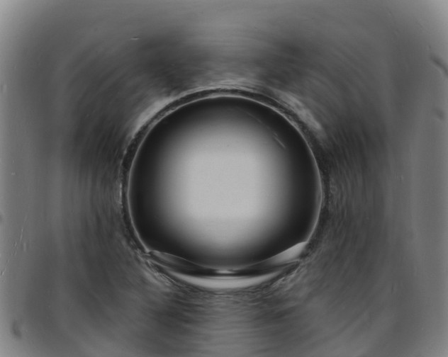 X0000096391316200801311312