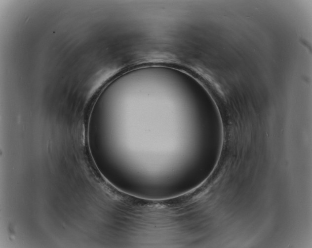 X0000096391317200801311312