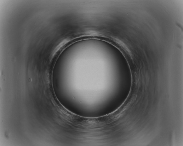 X0000096391318200801311312