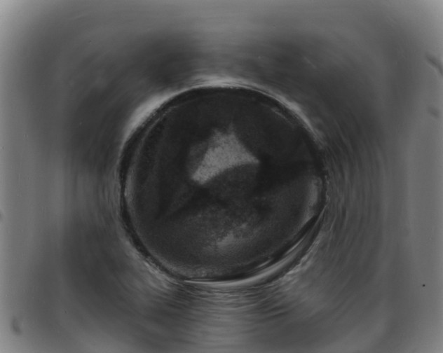 X0000096391319200801311312