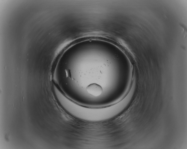 X0000096391320200801311312