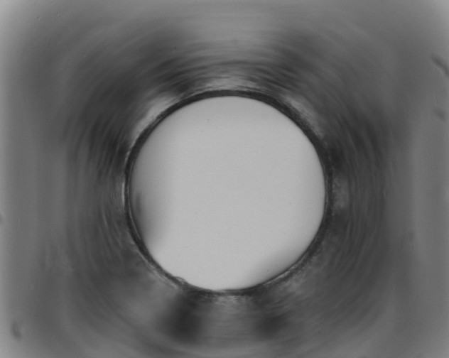 X0000096391322200801311312