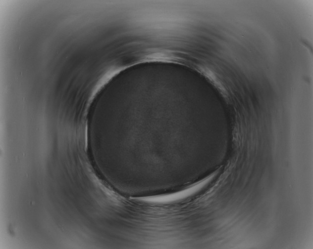 X0000096391323200801311312