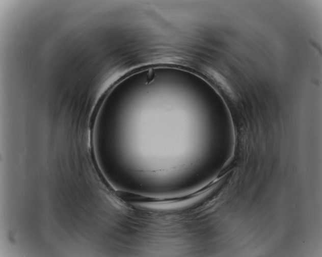 X0000096391324200801311313