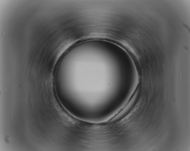 X0000096391325200801311313