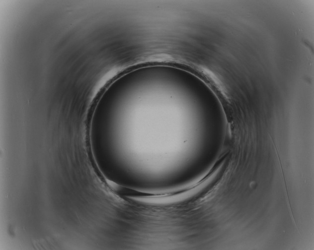 X0000096391326200801311313