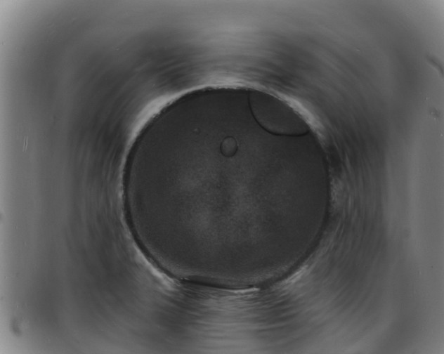 X0000096391327200801311313