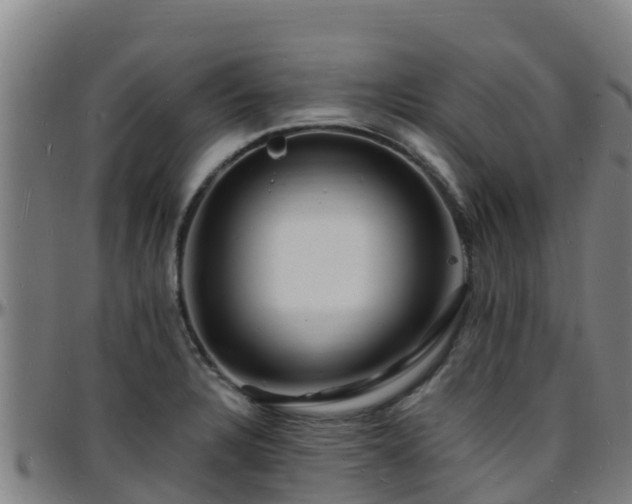 X0000096391328200801311313