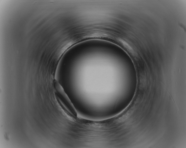 X0000096391329200801311313