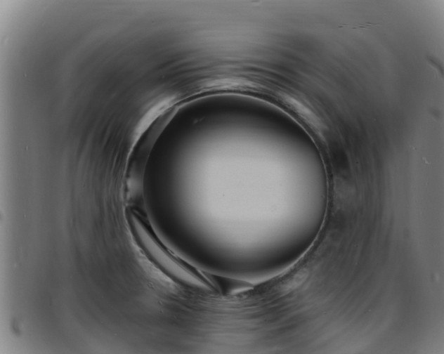 X0000096391330200801311313