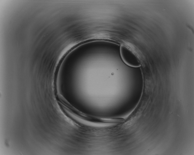 X0000096391331200801311313