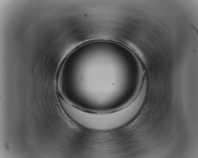 X0000096391332200801311313