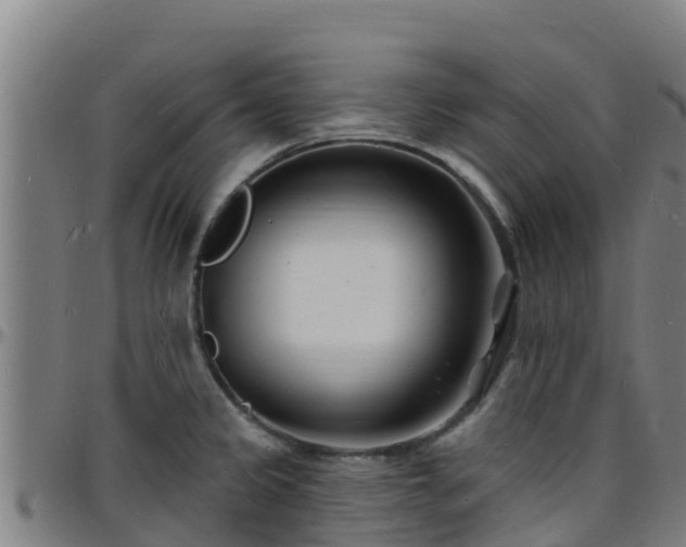 X0000096391333200801311313