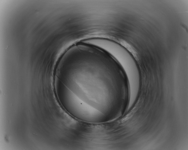 X0000096391334200801311313