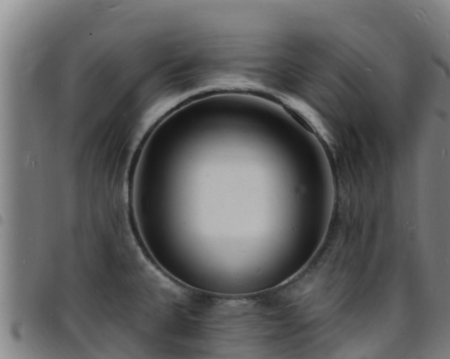 X0000096391335200801311313